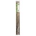 Bamboo Canes 25pk